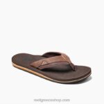 γρ Reef μαξιλάρι αυγή άνδρες καφέ 044RT426