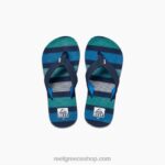γρ Reef παιδιά αχρίγες βαθιάς θάλασσας 044RT844 - Image 6