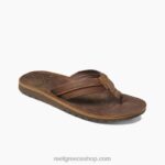 γρ Reef ταξίδι lux άνδρες καφέ 044RT312